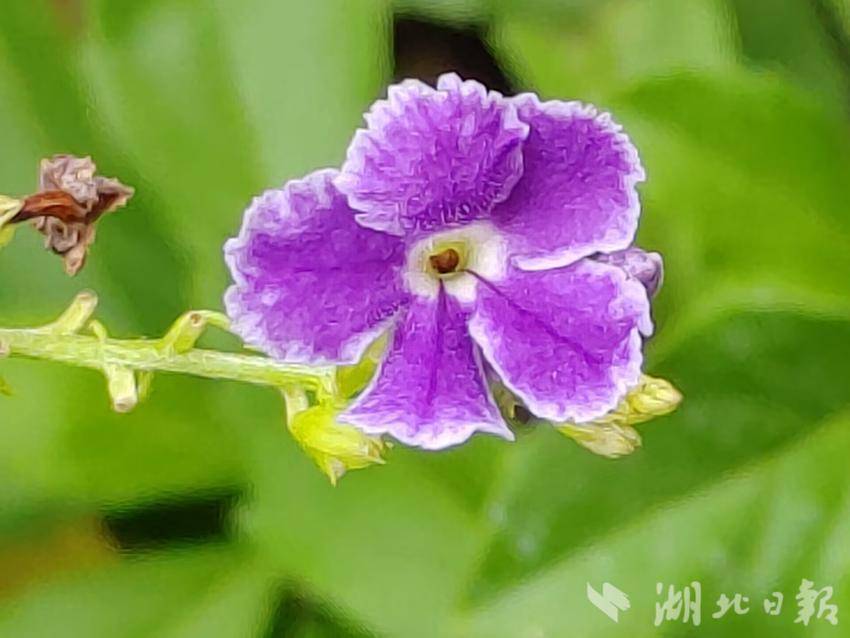 九州 最新发布页